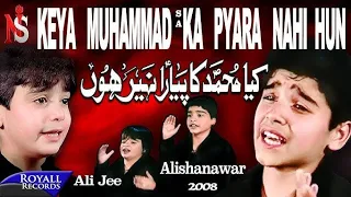 ya hussain ya alikiya muhammad ka pyara nahi hun ali shanawar u0026 ali jee