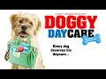 Doggy Daycare The Movie 2015 Full Movie Derick Agyemang Emma Almeida Damian Garth Brown