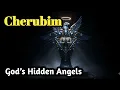Biblically Accurate Cherubim God s Hidden Angels