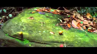 Il était une forêt (2013) Bande-annonce