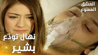 مسلسل العشق الممنوع   مقطع من الحلقة                     نهال تود ع بشير دندنها