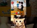 Lagu MR BOMBASTIC FUNK ☠️💥 #shorts #tiktok #cat #memes #mrbombastic #catbombastic | MrCatBombastic2.0