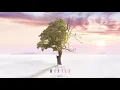 Cold Blue - Frozen