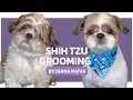 Download Lagu HOW TO GROOM A SHIH TZU - Dog Grooming Tips #dogs #doggrooming #shihtzu