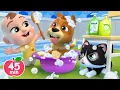 Bingo Pet Store More Lalafun Nursery Rhymes Kids Songs