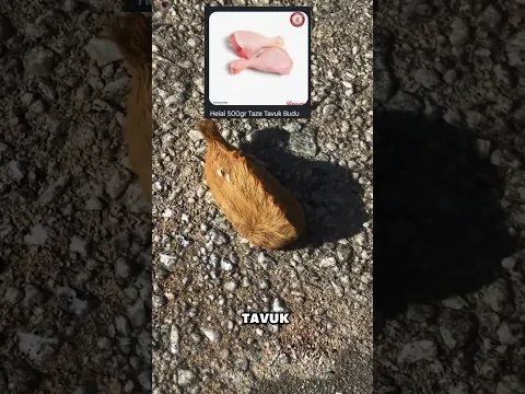 Mıknatısı olan varmı