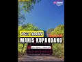 Download Lagu JOGET TERBARU🌴||MANIS KUPANDANG||LAPANDEWA SOUND 02✅