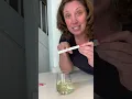 How To Use The Hoopsy Eco Pregnancy Test when Dipping into Your Urine