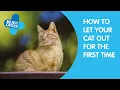 Download Lagu How To Let Your Cat Out For The First Time | Blue Cross