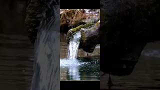 صوت خرير الماء The Sound Of Trickling Water  صوت خرير الماء The Sound Of Trickling Water