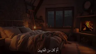 تلاوة بدون مؤثرات بصوت مريح للقاريء عمر بن ضياء الدين سورة النمل 