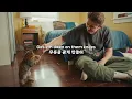 달콤 신나는 노래🎵 Nicky Youre - Eyes On You (가사/lyrics)