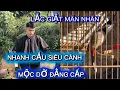 Lagu MỘC DỞ ĐẲNG CẤP SIÊU CẦU CÁNH MỎ LẮC GIẬT GĂM ĐẤU GĂM SỤC BẠO LỰC CỰC TỐ CHẤT GỘT DŨA MÓC SỐ