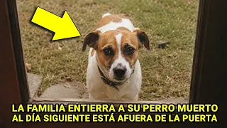 La familia entierra a su perro muerto, al día siguiente está afuera de la puerta.