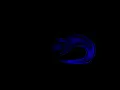 2D Water Ripple