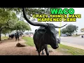 Waco TEXAS Some Crazy Things Have Happened Here