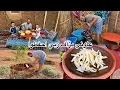 Download Lagu حياة البادية جني الكرموس والاعتناء بالاشجار🌳مع اعداد طاجين لذيذ على الفحم 