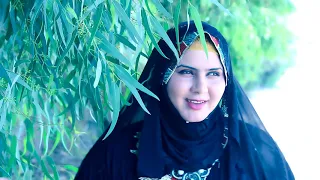 رنا محمود مجرودة  رنا محمود مجرودة