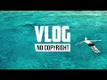 Download Lagu Nekzlo - Alive (Vlog No Copyright Music)