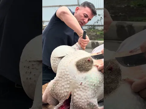carefully remove the skin from the ostrich