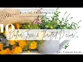 10 DOLLAR TREE THRIFTED DIY RUSTIC FARMHOUSE PROJECTS