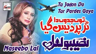 tu jadon da tur pardes best of naseebo lal hi tech music