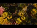 Ben Böhmer - Rust (Instrumental)