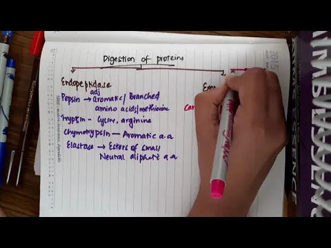 Degradation of proteins Biochemistry