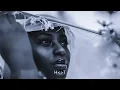 Reece Madlisa & Zuma - Iy'ntsimbi Zase Envy (Peekay Mzee Beast Mode Remix)