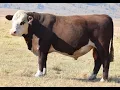 Lot 45 Guilford Thesaurus T138