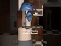 Download Lagu The Not Amazing World Of Gumball