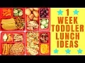 TODDLER LUNCH IDEAS MEALS AND TIPS