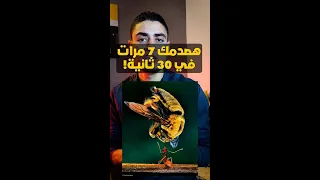 هصدمك 7 مرات في 30 ثانية الجزء 2 