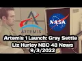 Artemis Liz Hurley Interview Gray Settle