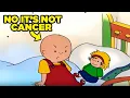 This Is The REAL Reason Why Caillou Doesn t Have Any Hair