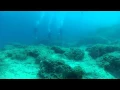 Download Lagu Kaş Dalışı Külah Balığı (kaş scuba diving fistularia commersoni)