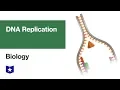 DNA Replication Biology