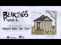 Lagu Bearings - What's Best For You