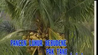 koes plus karaoke pop jawa pak tani