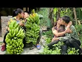 Download Lagu Full Video 45 Days: Harvesting Agricultural Products for Sale, Daily Life of a Couple - Linh's Life