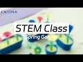 3D Print Your Own Spring Garden STEM Project for Kids