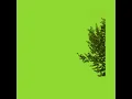 iMovie green screen tree pls🙏subscribe my YouTube channel
