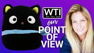 Our Point of View on Squishmallows Cat Plush Stuffed Toys From Amazon