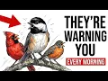 6 Things Your Birds Are Trying To Tell You Every Morning And You re Missing Them
