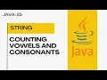 Count Vowels and Consonants in String Java-25