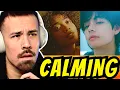 Download Lagu UMI \u0026 V wherever u r (REACTION)