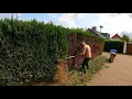 Download Lagu I Simply DESTROYED The HEDGE on Neighbor's Side at His Request