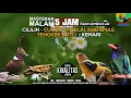 Lagu REQUEST MASTERING #20...DURASI 5 JAM MASTERAN MALAM CILILIN BELALANG EMAS KENARI CUNGKO TENGKEK BUTO