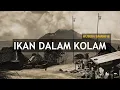 Download Lagu IKAN DALAM KOLAM - ORIGINAL (Husein Bawafie)