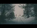 Uncertain Voices // A Moment in Time